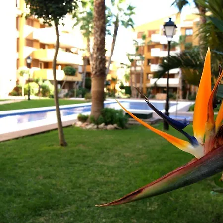 La Recoleta - Punta Prima Torrevieja