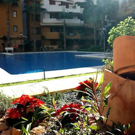 La Recoleta - Punta Prima Torrevieja