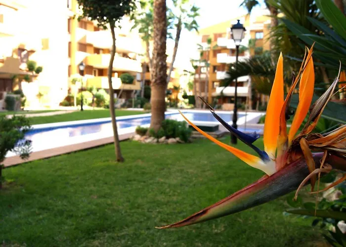 La Recoleta - Punta Prima Torrevieja