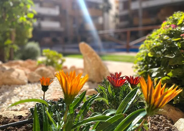 La Recoleta - Punta Prima